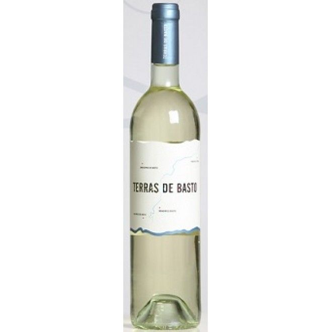VINHO TERRAS DE BASTO VERDE BCO 0.75L (6)