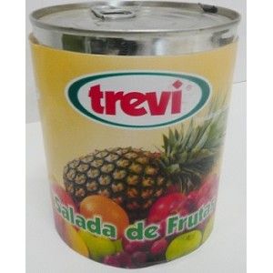 SALADA FRUTAS TREVI A/F 840GRS (12)