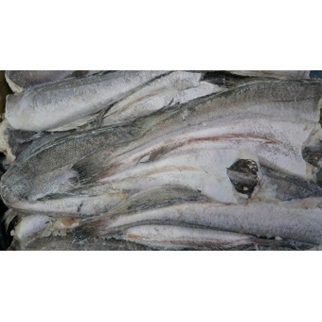 PESCADA 3L (1200/1500) CHILE PESANTAR KG