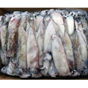 LULA C4 (9/12) PATAGONICA PESCANOVA (+-5KG) LULA C4 (9/12) PATAGONICA PESCANOVA (+-5KG)