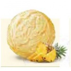 COVETE L.LECH.SUP.SORV. ANANAS 2.1L (1)