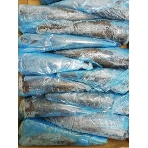 PESCADA H4 (900/1200) AF. SUL I &J PESCADA H4 (900/1200) AF. SUL I &J