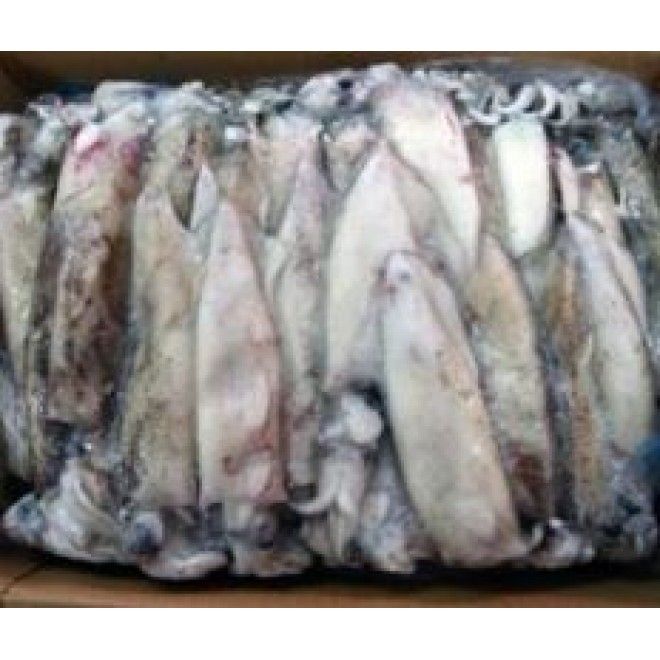 LULA PATAGONICA 4L (12/16) PESCANOVA KG (+- 5KG)