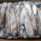 LULA PATAGONICA 4L (12/16) PESCANOVA KG (+- 5KG)