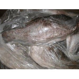 PERCA DO NILO 1000/3000 (CX.20 KG.)