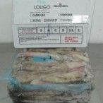 LULA C4 (9/12) PATAGONIA LOLIGO KG (+-5)